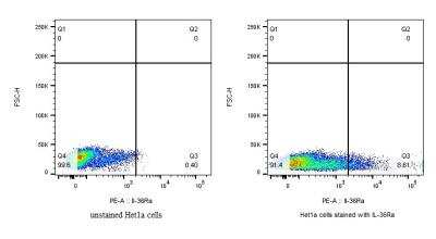 Flow Cytometry: IL-36Ra/IL-1F5 Antibody [PE] [NBP2-41241PE] - Het1a normal esophageal cell line. Basal expression of IL-36a receptor on the surface of normal esophageal cells. Flow cytometry image submitted by a verified customer review.